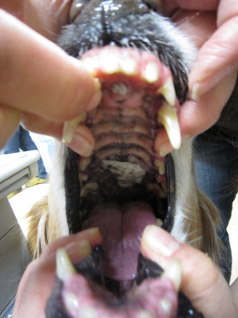 ファイル 1577-4.jpg