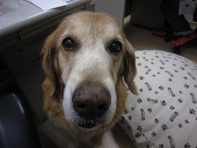 ファイル 1577-5.jpg