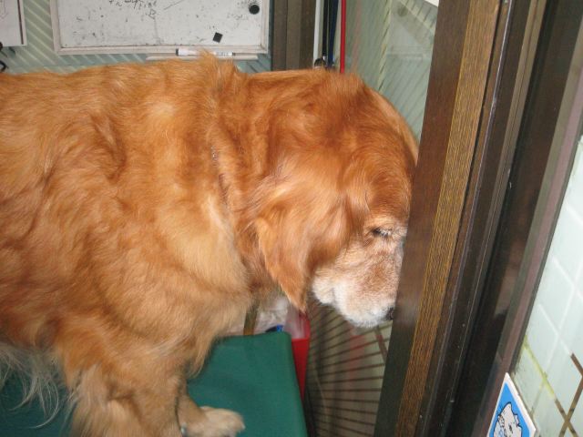 ファイル 158-2.jpg