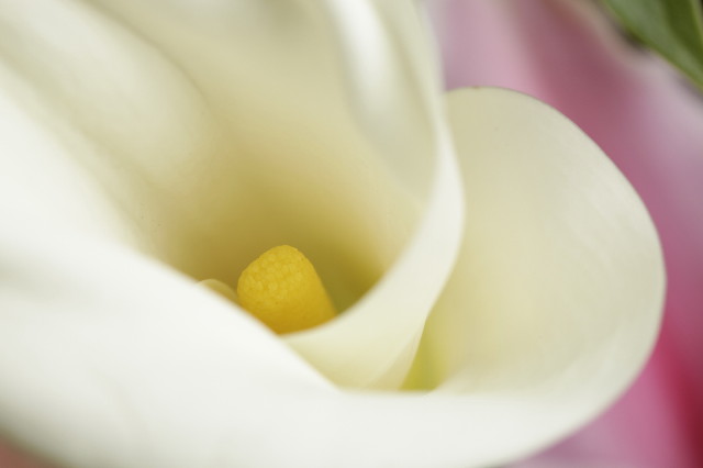 ファイル 1580-3.jpg