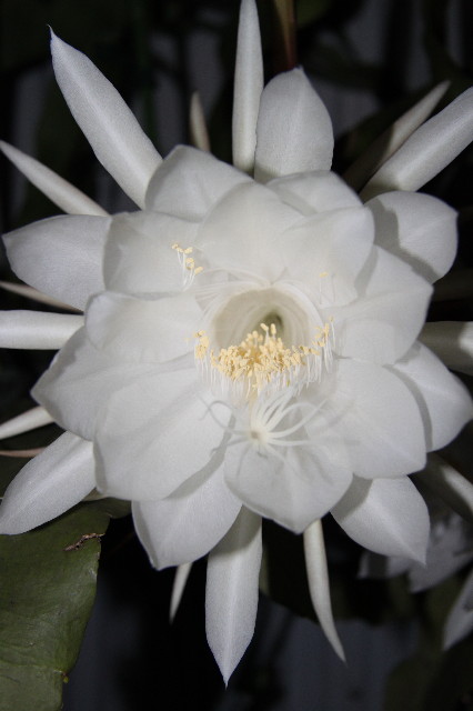 ファイル 1580-5.jpg