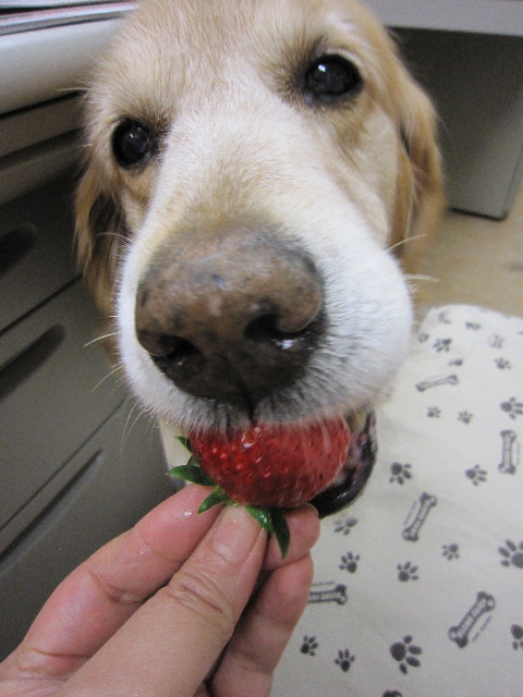 ファイル 1581-4.jpg