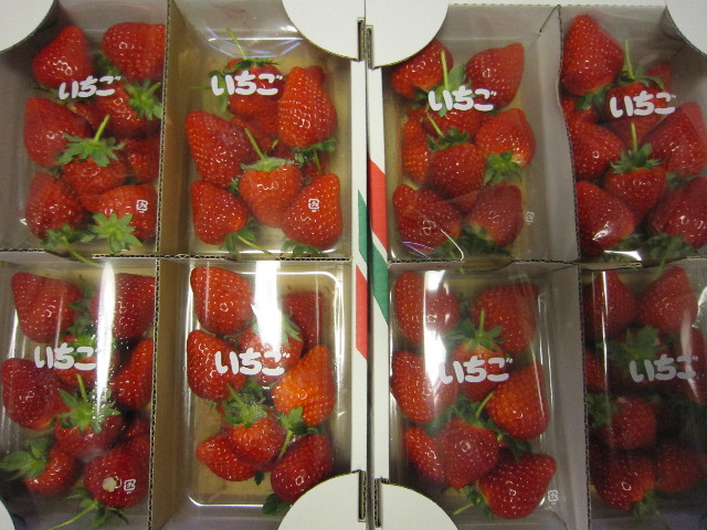 ファイル 1581-5.jpg