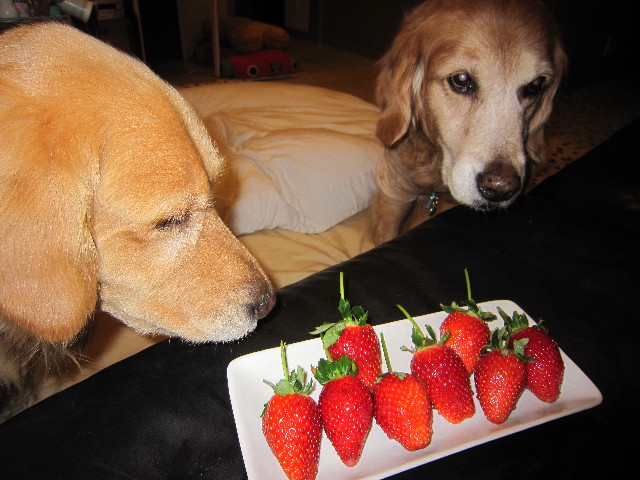 ファイル 1582-1.jpg