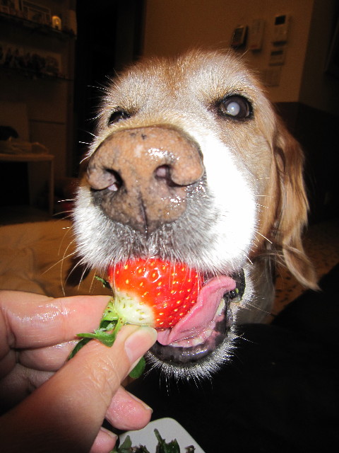 ファイル 1582-2.jpg