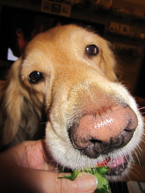 ファイル 1582-3.jpg