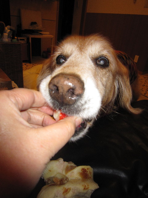 ファイル 1582-4.jpg