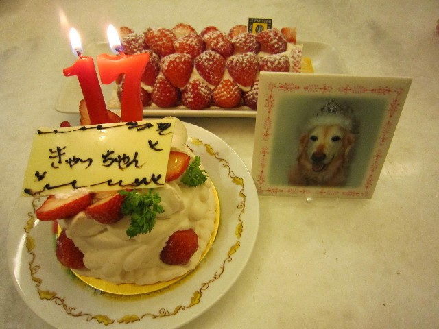 ファイル 1587-2.jpg