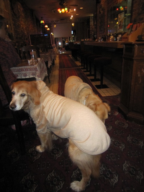 ファイル 1588-2.jpg