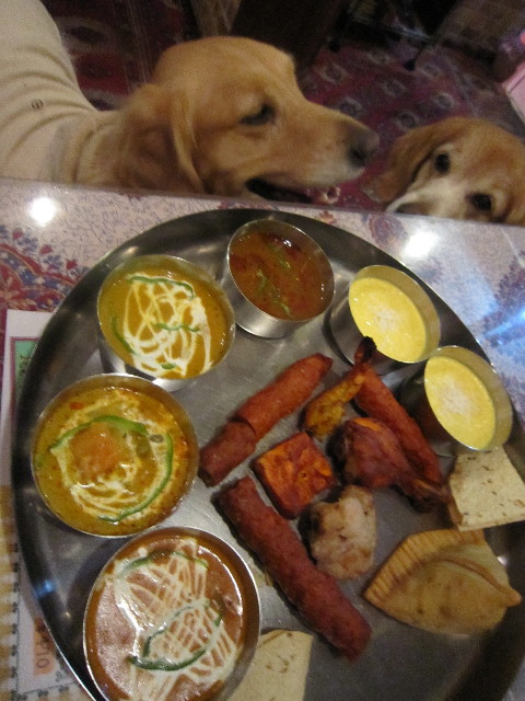 ファイル 1588-5.jpg