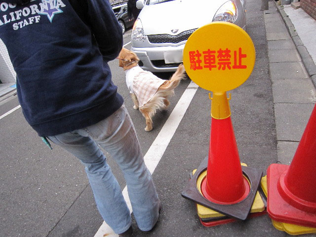 ファイル 1589-2.jpg