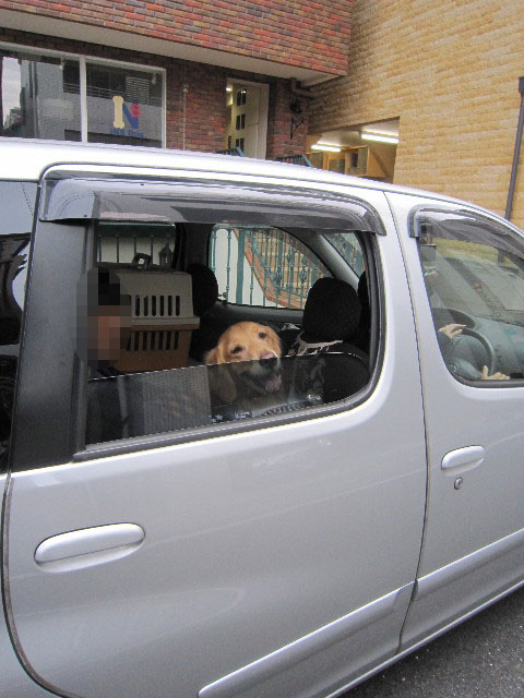 ファイル 1589-5.jpg