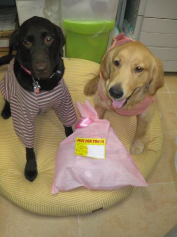 ファイル 159-2.jpg