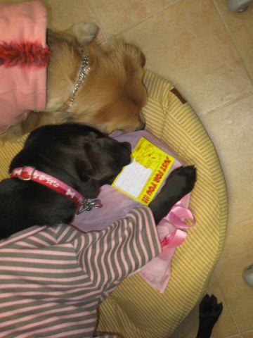 ファイル 159-3.jpg