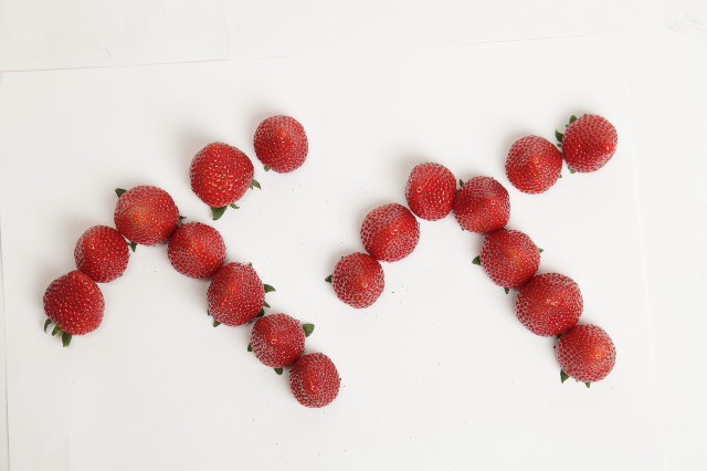 ファイル 1591-2.jpg