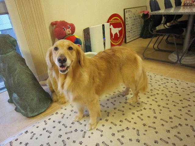 ファイル 1592-2.jpg