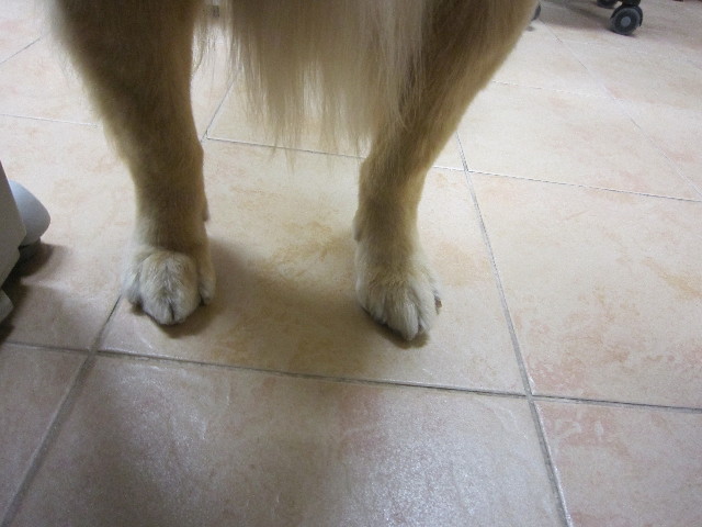 ファイル 1592-5.jpg