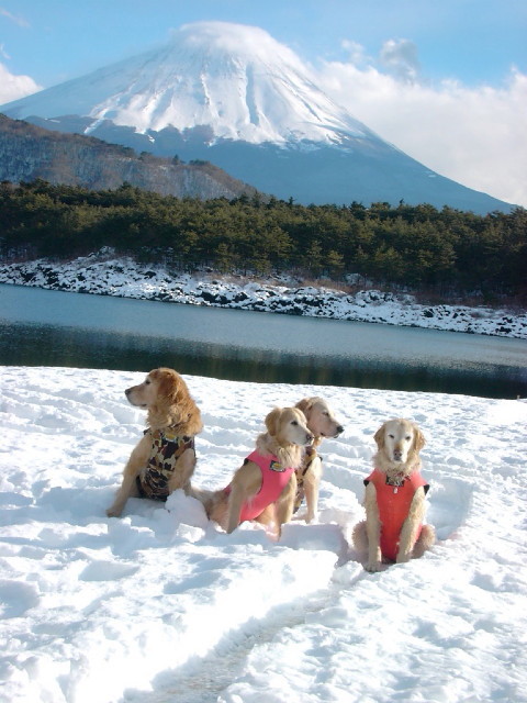 ファイル 1595-4.jpg