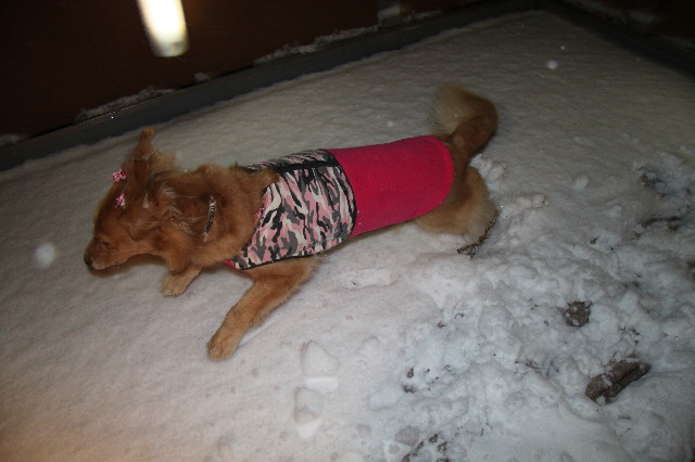 ファイル 1597-3.jpg