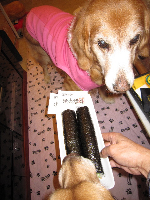 ファイル 1598-1.jpg