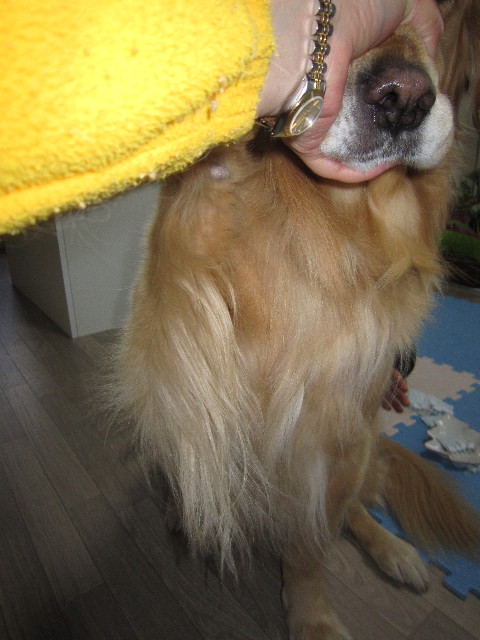 ファイル 1598-2.jpg