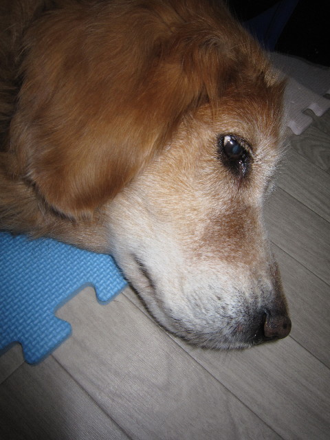 ファイル 1598-3.jpg