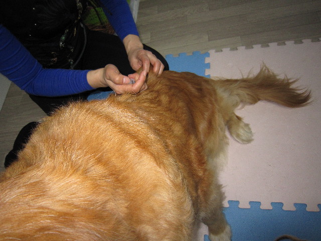 ファイル 1598-5.jpg