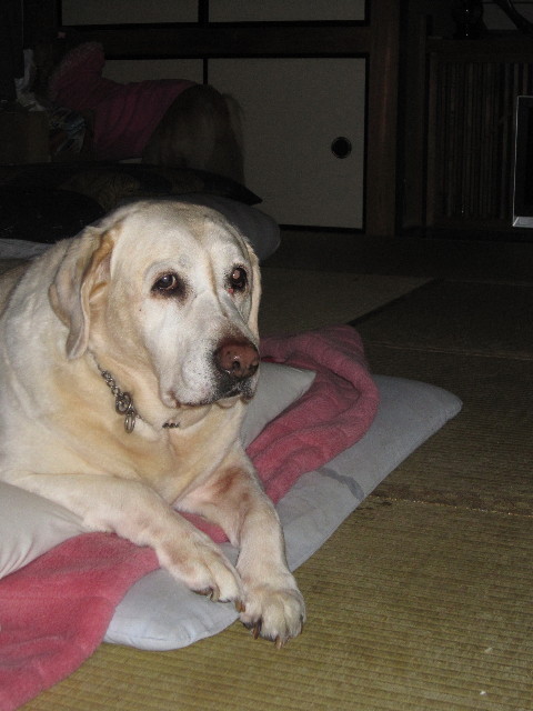 ファイル 1599-5.jpg