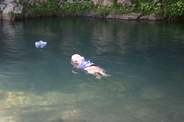 ファイル 16-1.jpg