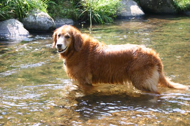 ファイル 16-2.jpg