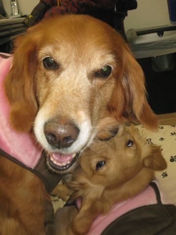 ファイル 160-2.jpg