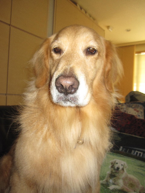 ファイル 1601-2.jpg