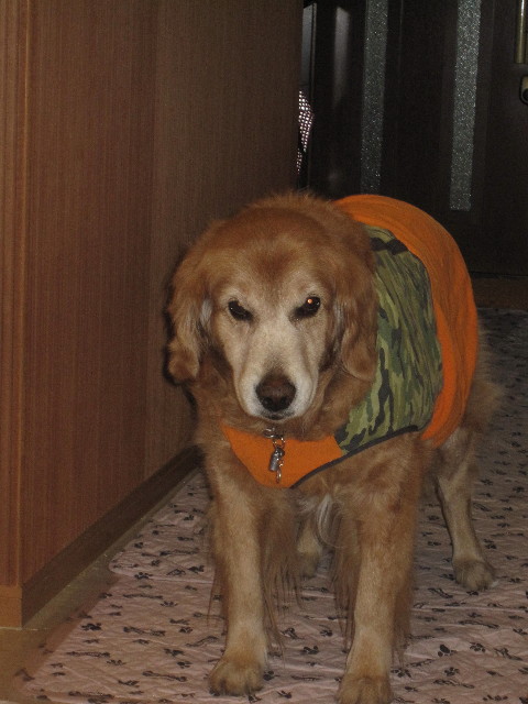 ファイル 1601-3.jpg