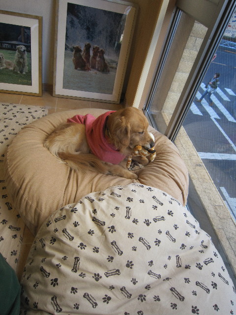 ファイル 1602-3.jpg