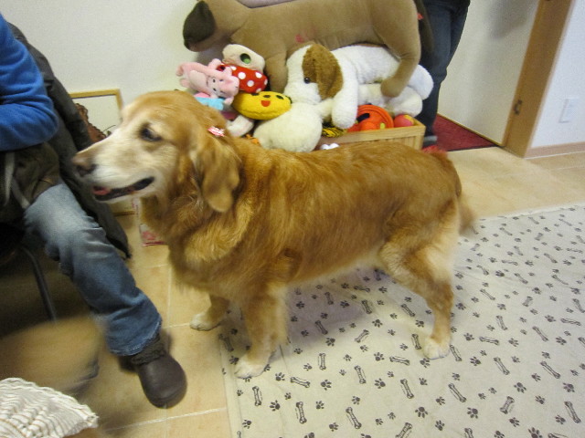 ファイル 1603-4.jpg