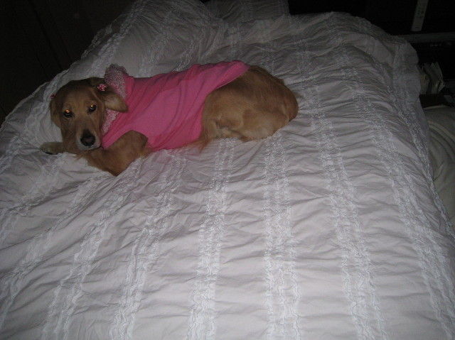 ファイル 1606-2.jpg