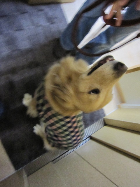 ファイル 1607-2.jpg