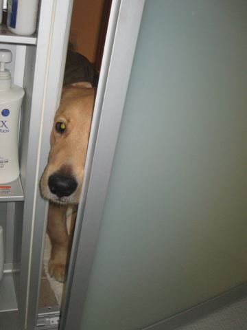 ファイル 161-4.jpg