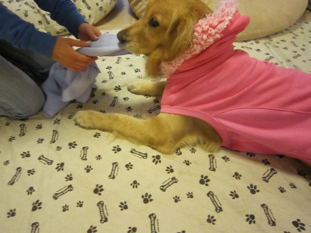 ファイル 1610-3.jpg