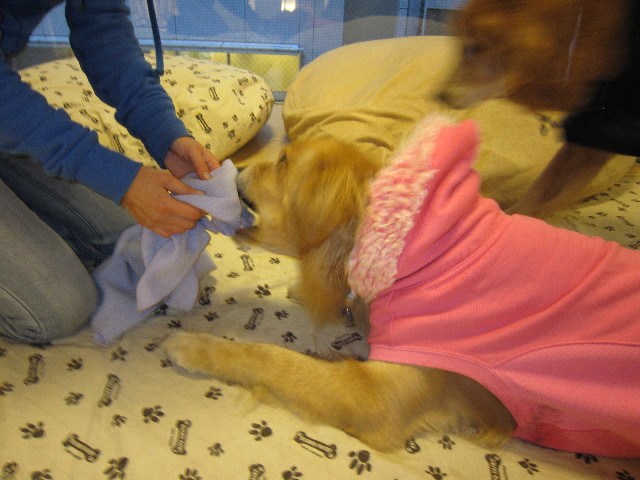 ファイル 1610-4.jpg