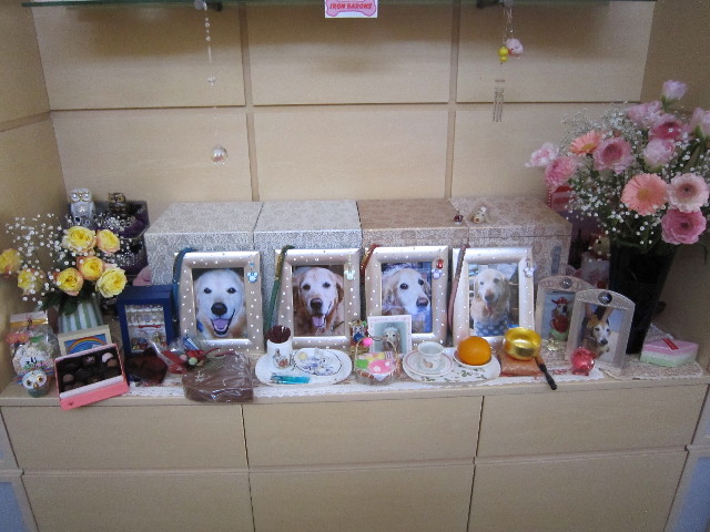 ファイル 1611-3.jpg
