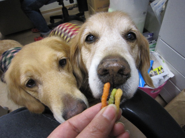 ファイル 1615-5.jpg