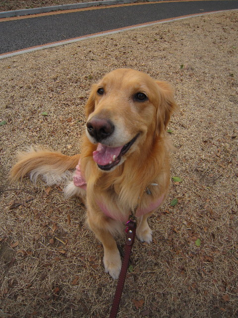 ファイル 1616-4.jpg