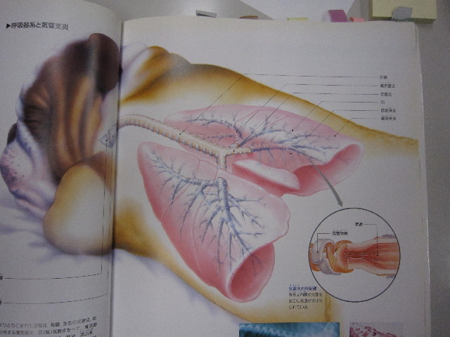 ファイル 1619-4.jpg