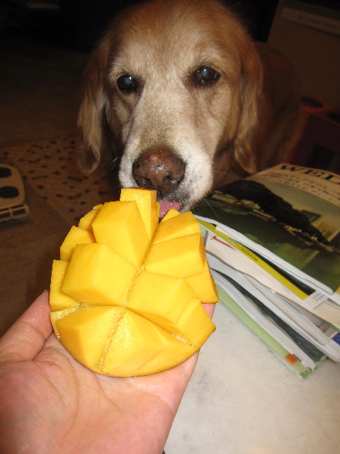 ファイル 1619-5.jpg