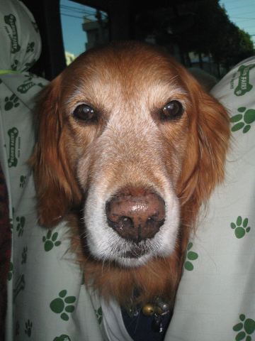 ファイル 162-5.jpg