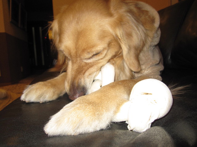 ファイル 1623-1.jpg