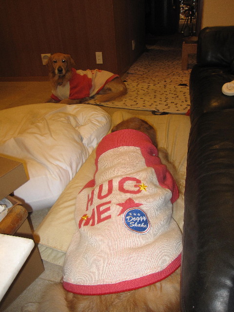 ファイル 1623-4.jpg