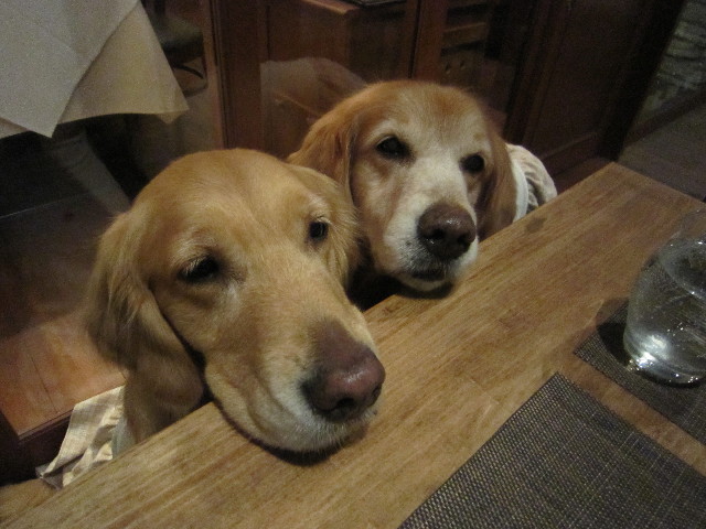 ファイル 1625-5.jpg