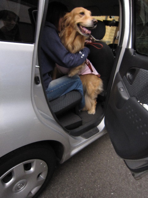 ファイル 1626-1.jpg